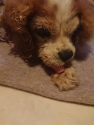 f:id:roukenhome-ann:20190808135532j:plain
