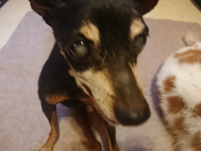 f:id:roukenhome-ann:20190808135547j:plain