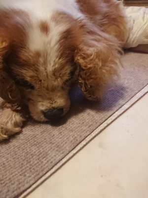 f:id:roukenhome-ann:20190808135621j:plain