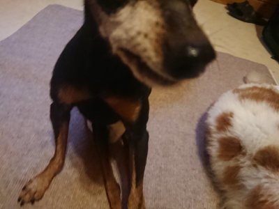f:id:roukenhome-ann:20190808135828j:plain