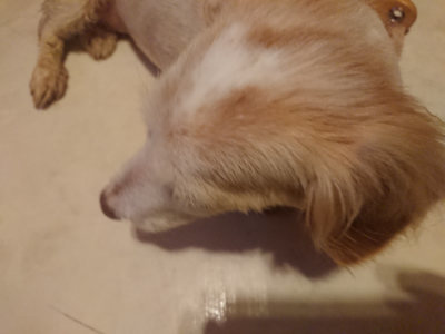 f:id:roukenhome-ann:20190808140353j:plain