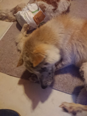 f:id:roukenhome-ann:20190808140444j:plain