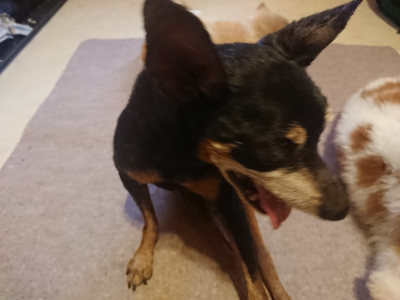 f:id:roukenhome-ann:20190808140809j:plain
