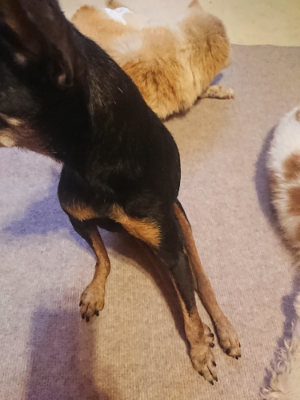 f:id:roukenhome-ann:20190808140939j:plain