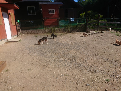 f:id:roukenhome-ann:20190808201326j:plain