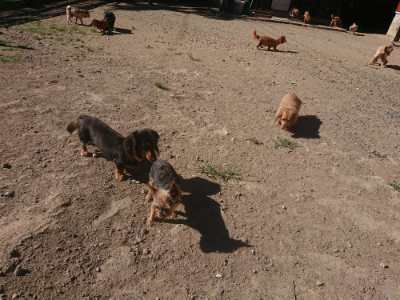 f:id:roukenhome-ann:20190808201335j:plain