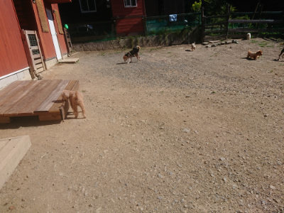 f:id:roukenhome-ann:20190808201359j:plain