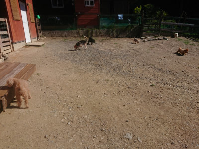 f:id:roukenhome-ann:20190808201407j:plain