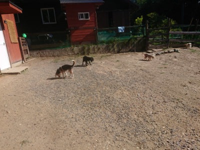 f:id:roukenhome-ann:20190808201416j:plain