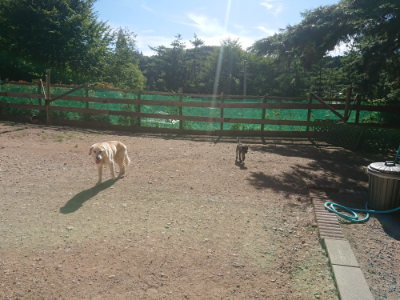 f:id:roukenhome-ann:20190808201448j:plain