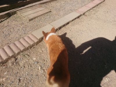 f:id:roukenhome-ann:20190808201541j:plain