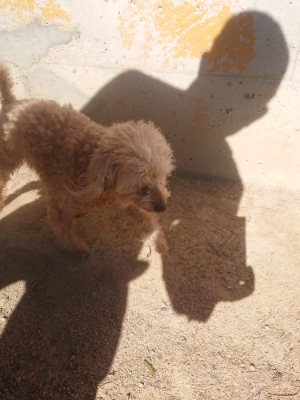f:id:roukenhome-ann:20190808201709j:plain