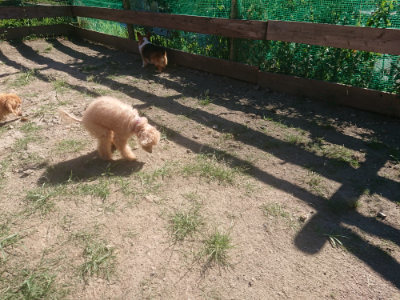 f:id:roukenhome-ann:20190808202405j:plain