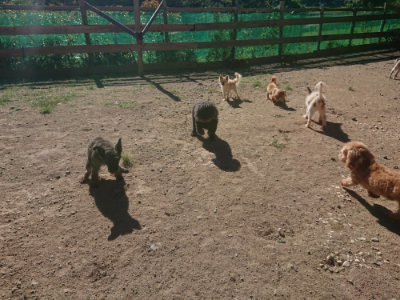 f:id:roukenhome-ann:20190808202416j:plain