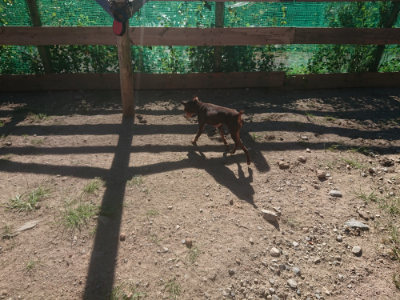 f:id:roukenhome-ann:20190808202432j:plain