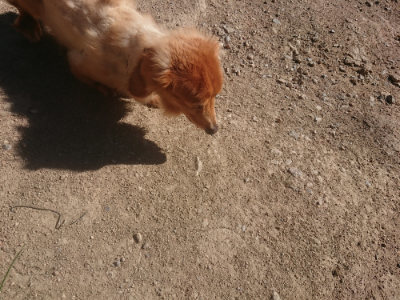 f:id:roukenhome-ann:20190808202453j:plain