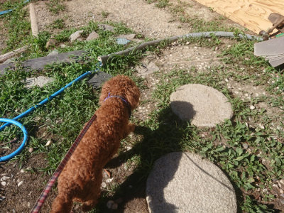 f:id:roukenhome-ann:20190808202521j:plain