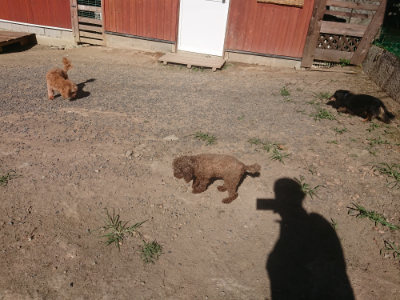 f:id:roukenhome-ann:20190808202525j:plain