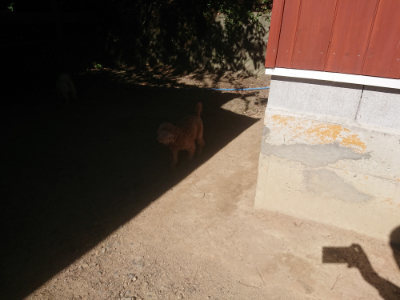 f:id:roukenhome-ann:20190808202535j:plain