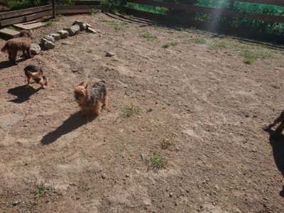 f:id:roukenhome-ann:20190808202622j:plain