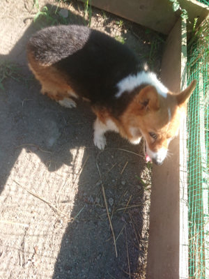 f:id:roukenhome-ann:20190808202642j:plain