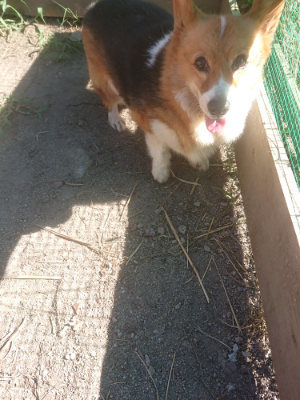 f:id:roukenhome-ann:20190808202648j:plain