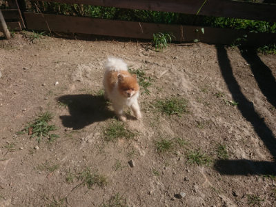 f:id:roukenhome-ann:20190808202654j:plain