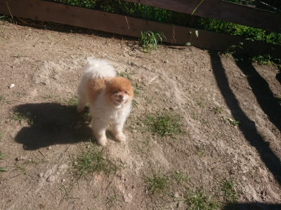 f:id:roukenhome-ann:20190808202700j:plain
