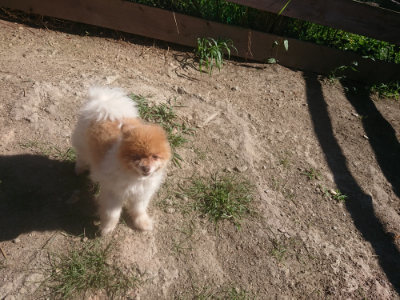 f:id:roukenhome-ann:20190808202707j:plain