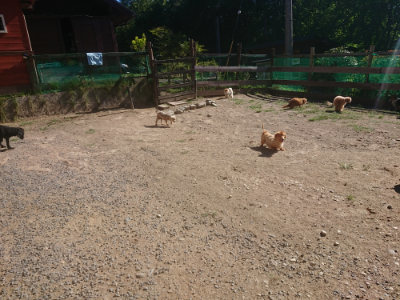 f:id:roukenhome-ann:20190808202719j:plain