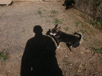 f:id:roukenhome-ann:20190808202730j:plain