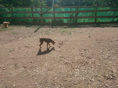 f:id:roukenhome-ann:20190808202735j:plain