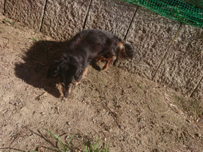 f:id:roukenhome-ann:20190808202746j:plain