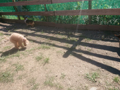 f:id:roukenhome-ann:20190808202758j:plain