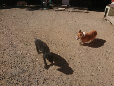 f:id:roukenhome-ann:20190808202948j:plain