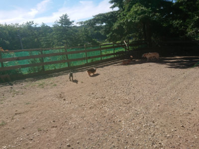f:id:roukenhome-ann:20190808202955j:plain