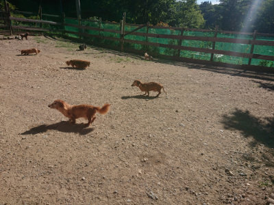 f:id:roukenhome-ann:20190808203000j:plain