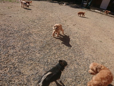f:id:roukenhome-ann:20190808203027j:plain