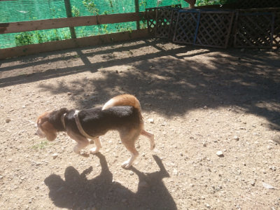 f:id:roukenhome-ann:20190808203045j:plain