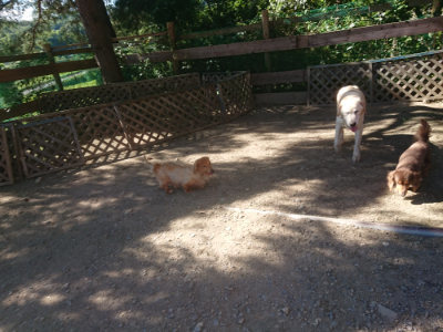 f:id:roukenhome-ann:20190808203115j:plain
