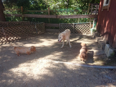 f:id:roukenhome-ann:20190808203136j:plain