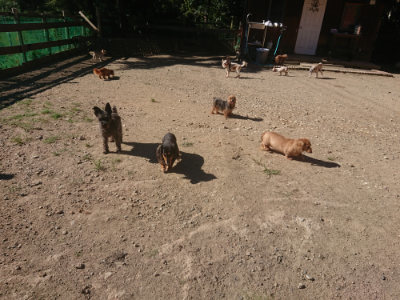 f:id:roukenhome-ann:20190808203219j:plain