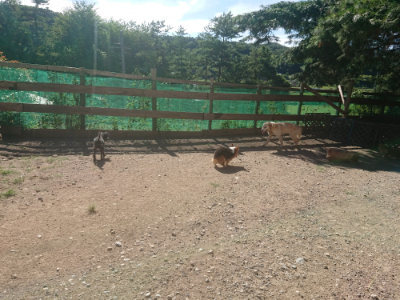 f:id:roukenhome-ann:20190808203226j:plain