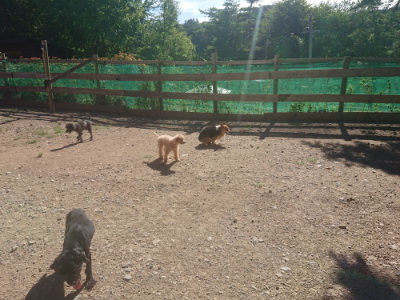 f:id:roukenhome-ann:20190808203232j:plain