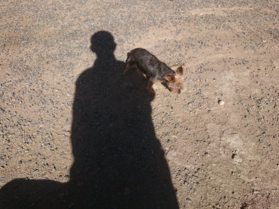 f:id:roukenhome-ann:20190808203321j:plain