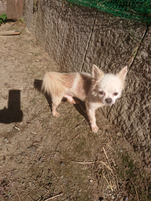 f:id:roukenhome-ann:20190808203728j:plain