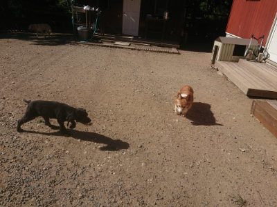 f:id:roukenhome-ann:20190808203806j:plain
