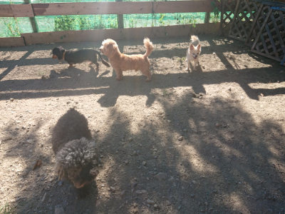 f:id:roukenhome-ann:20190808203818j:plain