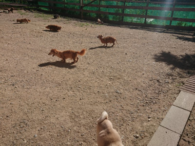 f:id:roukenhome-ann:20190808203842j:plain