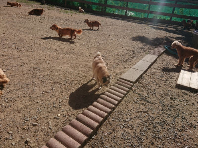 f:id:roukenhome-ann:20190808203902j:plain